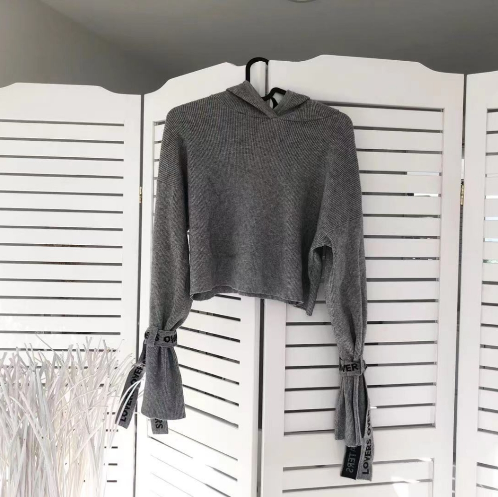H&M hooded sweater
